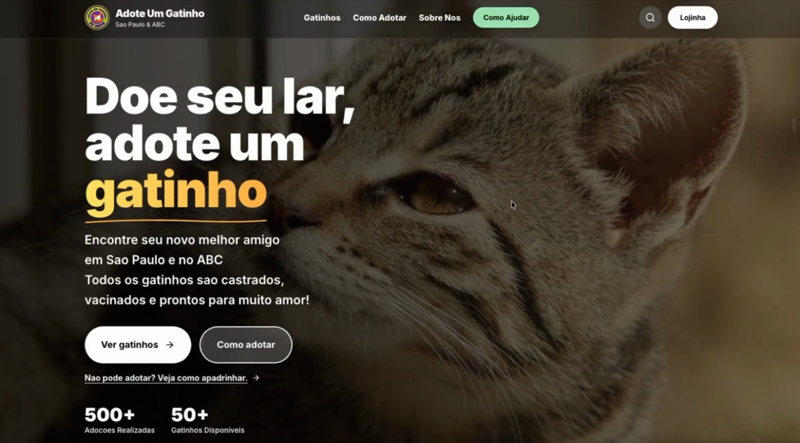 Adote Um Gatinho